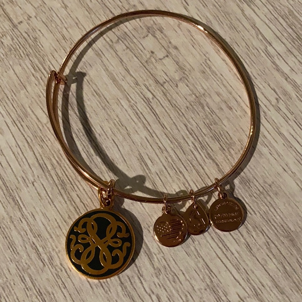 🌷LAST CHANCE🌷 NWOT Alex and Ani Charcoal Path Of Life Bracelet